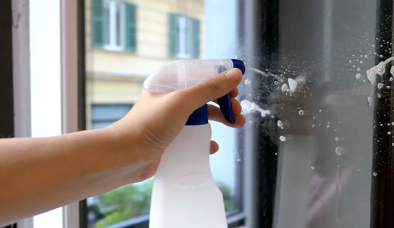 Immagine selezionata
