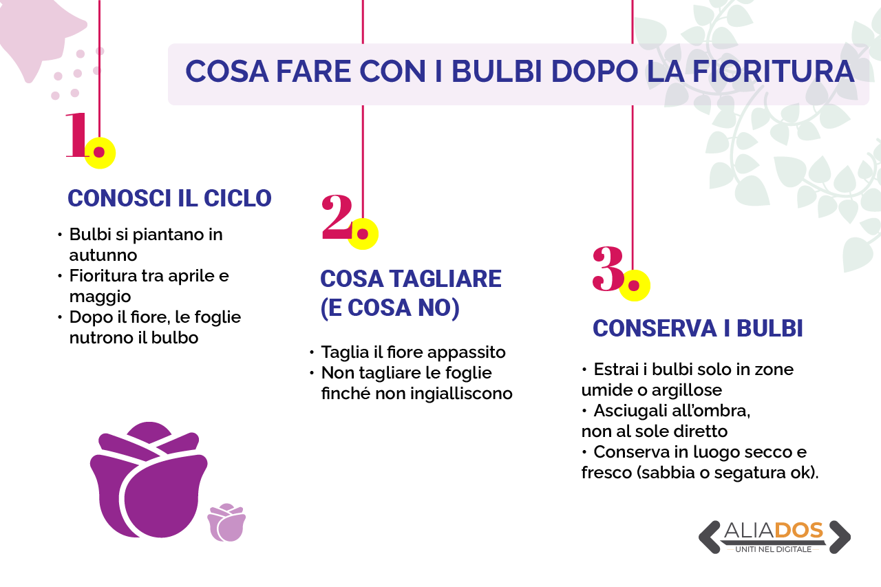 Immagine selezionata