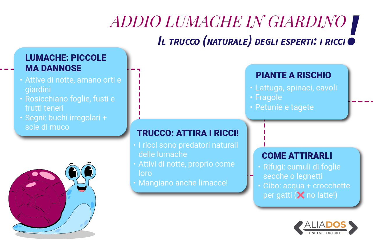 Immagine selezionata